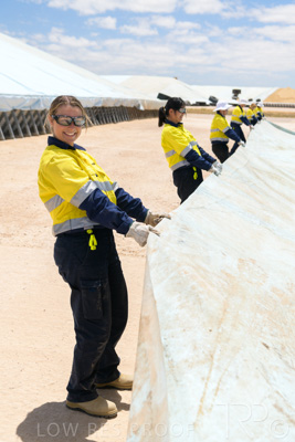 December 2020 / Tailem_Bend_201221_0845