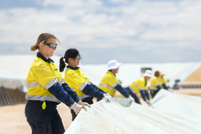 December 2020 / Tailem_Bend_201221_0854