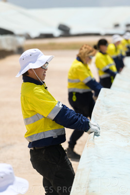 December 2020 / Tailem_Bend_201221_0866