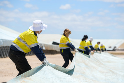 December 2020 / Tailem_Bend_201221_0874