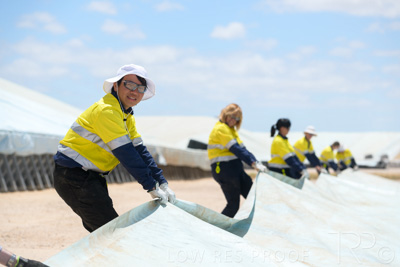 December 2020 / Tailem_Bend_201221_0876