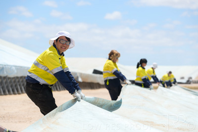 December 2020 / Tailem_Bend_201221_0878