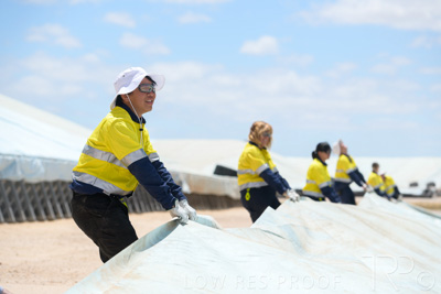 December 2020 / Tailem_Bend_201221_0880