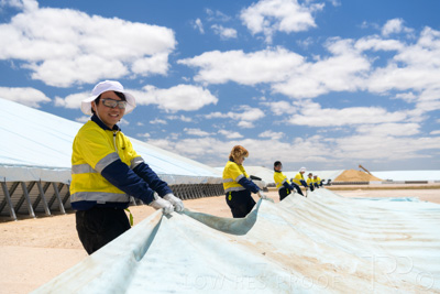 December 2020 / Tailem_Bend_201221_0888
