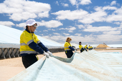 December 2020 / Tailem_Bend_201221_0890