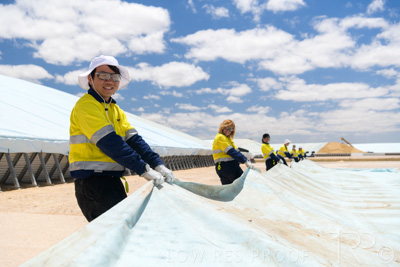 December 2020 / Tailem_Bend_201221_0892