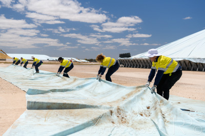 December 2020 / Tailem_Bend_201221_0899