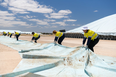 December 2020 / Tailem_Bend_201221_0900