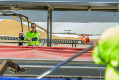 December 2020 / Tailem_Bend_201221_1005