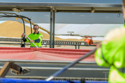 December 2020 / Tailem_Bend_201221_1006