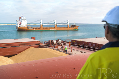 January 2021 / OUTER_HARBOR_SA_003