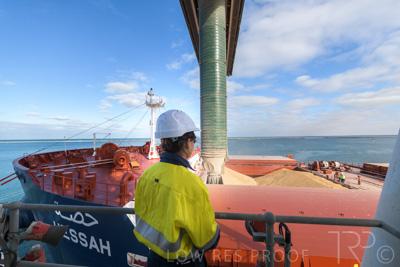 January 2021 / OUTER_HARBOR_SA_047