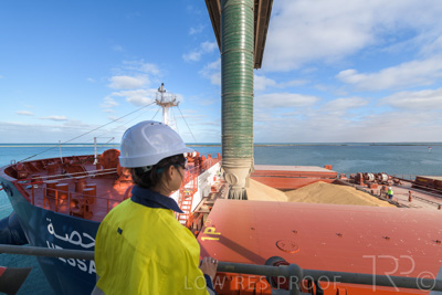 January 2021 / OUTER_HARBOR_SA_048