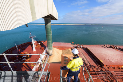 January 2021 / OUTER_HARBOR_SA_061