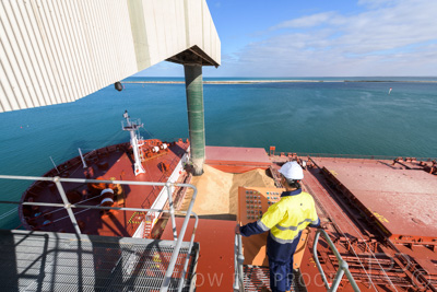 January 2021 / OUTER_HARBOR_SA_063