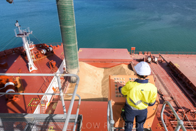 January 2021 / OUTER_HARBOR_SA_072