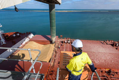 January 2021 / OUTER_HARBOR_SA_110