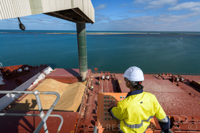 January 2021 / OUTER_HARBOR_SA_111