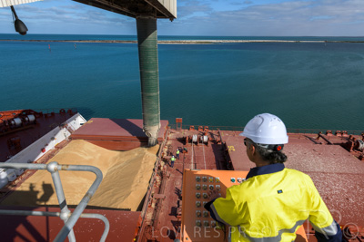 January 2021 / OUTER_HARBOR_SA_112