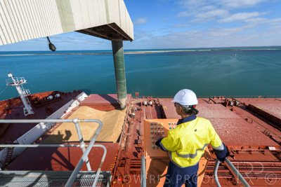 January 2021 / OUTER_HARBOR_SA_113