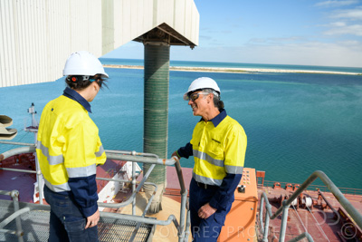 January 2021 / OUTER_HARBOR_SA_173