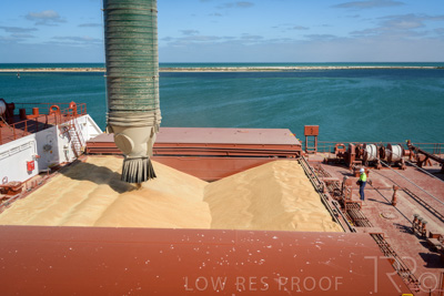 January 2021 / OUTER_HARBOR_SA_216