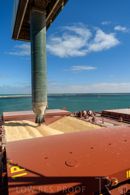 January 2021 / OUTER_HARBOR_SA_219