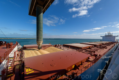 January 2021 / OUTER_HARBOR_SA_220