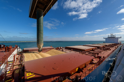 January 2021 / OUTER_HARBOR_SA_222