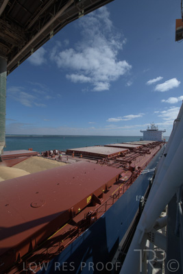 January 2021 / OUTER_HARBOR_SA_228