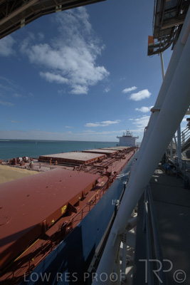 January 2021 / OUTER_HARBOR_SA_229