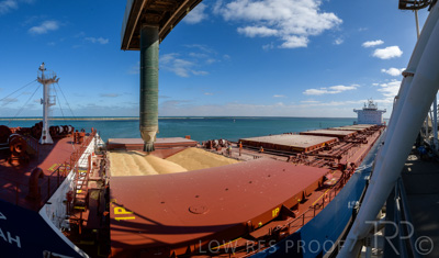 January 2021 / OUTER_HARBOR_SA_230