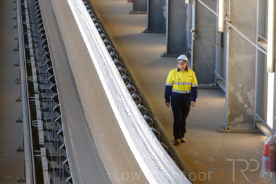 January 2021 / OUTER_HARBOR_SA_249