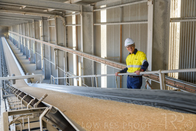 January 2021 / OUTER_HARBOR_SA_310