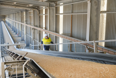 January 2021 / OUTER_HARBOR_SA_312