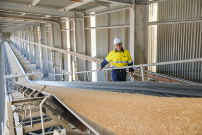 January 2021 / OUTER_HARBOR_SA_313