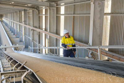 January 2021 / OUTER_HARBOR_SA_315