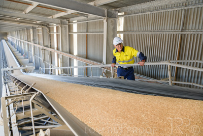 January 2021 / OUTER_HARBOR_SA_317