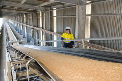 January 2021 / OUTER_HARBOR_SA_331