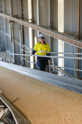 January 2021 / OUTER_HARBOR_SA_332