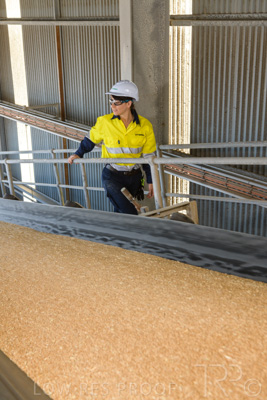 January 2021 / OUTER_HARBOR_SA_334