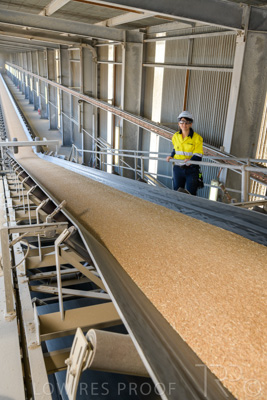 January 2021 / OUTER_HARBOR_SA_336