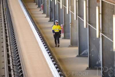 January 2021 / OUTER_HARBOR_SA_339