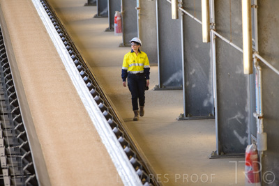 January 2021 / OUTER_HARBOR_SA_342