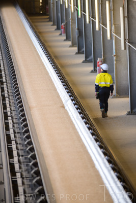 January 2021 / OUTER_HARBOR_SA_348