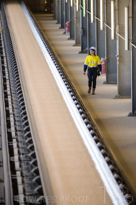 January 2021 / OUTER_HARBOR_SA_351