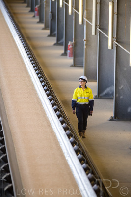 January 2021 / OUTER_HARBOR_SA_355