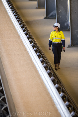 January 2021 / OUTER_HARBOR_SA_358