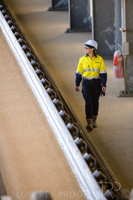 January 2021 / OUTER_HARBOR_SA_360