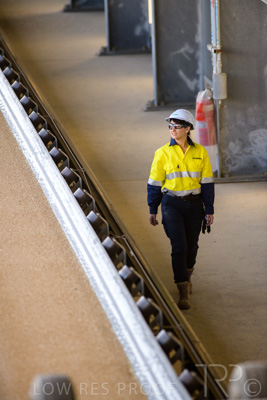 January 2021 / OUTER_HARBOR_SA_363